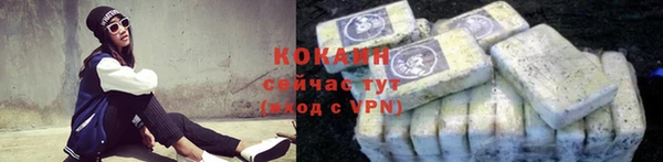 шишки Богданович