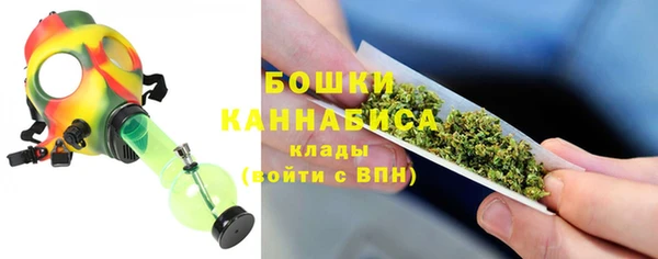 шишки Богданович