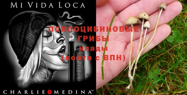 MDMA Богородск