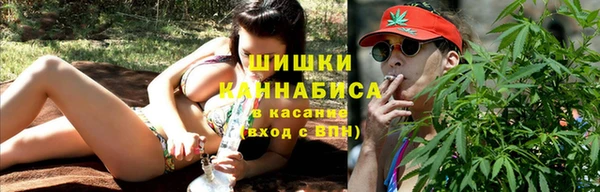 шишки Богданович