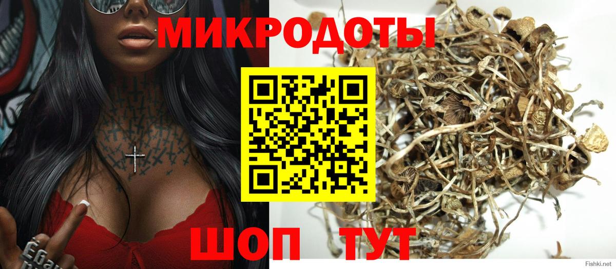 Псилоцибиновые грибы мицелий  Галлюциногенные грибы мицелий  Вход с VPN  Кушва 