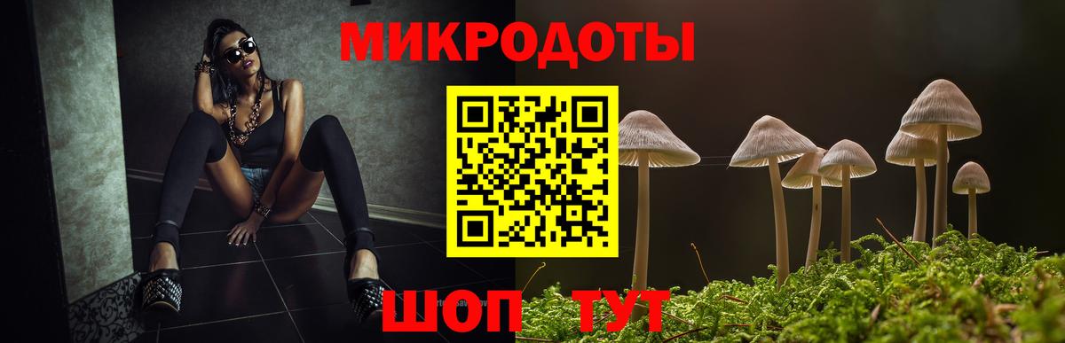 Галлюциногенные грибы Psilocybine cubensis Кушва